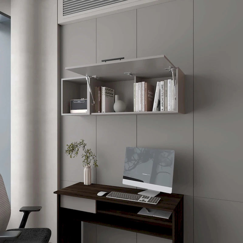 Wall Cabinet with Pneumatic Arms